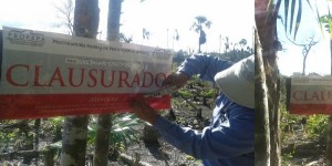 Clausura PROFEPA área natural protegida “Yum Balam” por afectaciónes en Quintana Roo