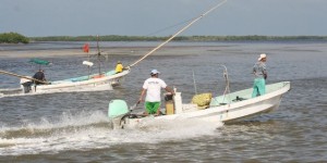 Incrementa el volumen de pesca de mero en Yucatán 2015