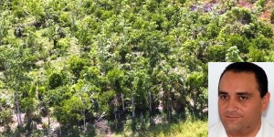 Anuncia el gobernador Roberto Borge la restauración de 700 mil hectáreas de selva en Quintana Roo