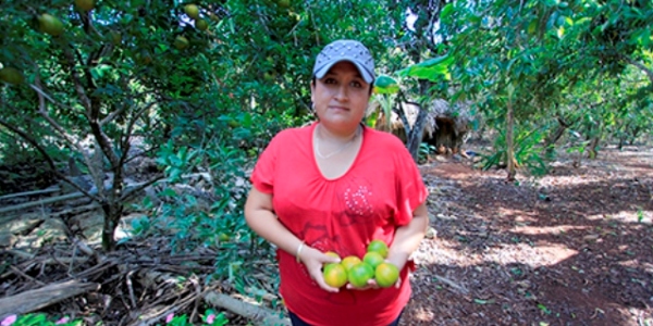 Agricultores de Yucatan mejoran