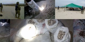 Aseguran SEMAR y PROFEPA 12 mil huevos de Tortuga en costas de Michoacán y Oaxaca