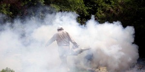 Fortalece la Secretaria de Salud de Quintana Roo combate contra el dengue y chikungunya