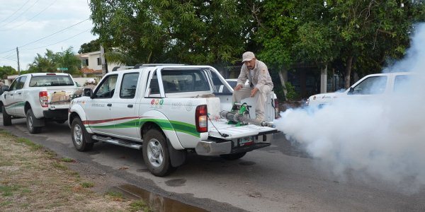 Libre de zika en quintana roo