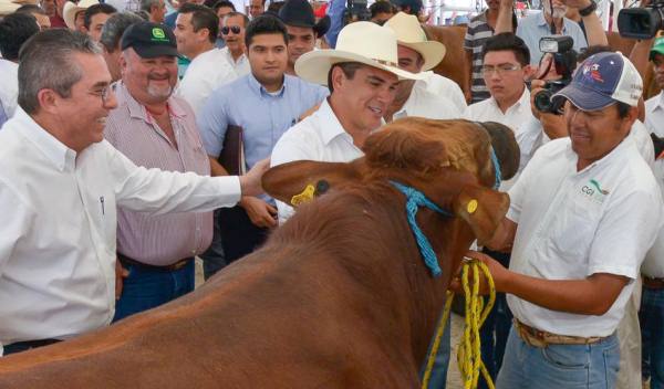 AMC garantiza apoyos a ganaderos