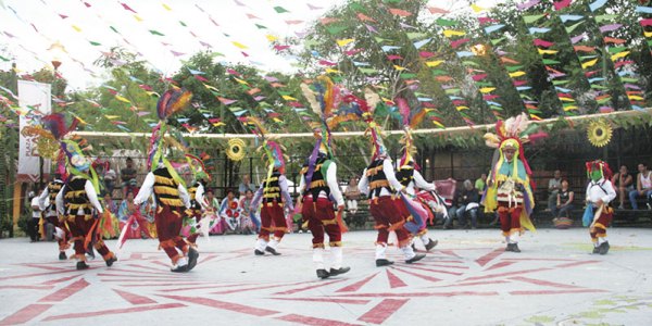 Danzas tradicionales cumbre tajin