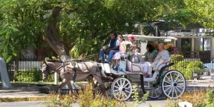 Impulsa la Comuna centenaria tradición de Mérida: el uso de las calesas