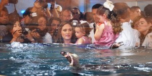 Listo el Pingüinario de Veracruz para recibir a miles de turistas en Semana Santa