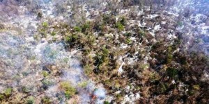 Prevalece en Yucatan, trabajo coordinado entre autoridades y sociedad en temporada de incendios