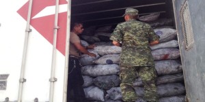 Asegura PROFEPA 24 toneladas de carbón vegetal y 18-5 metros cúbicos de madera Granadillo en Campeche