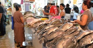 Aumenta demanda tilapias, camarón y ostión en cuaresma en Tabasco: SAGARPA