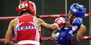 Pugiles yucatecos viajan a fase regional de box amateur