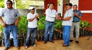 Gobierno de Yucatán entrega apoyos a productores citrícolas de Kuchel