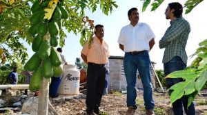 Mayor impulso para productores agrícolas del oriente en Yucatán