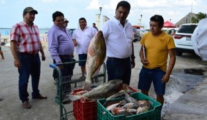 Pescadores y Plan Rector, van de la mano para maximizar la pesquería en Yucatán