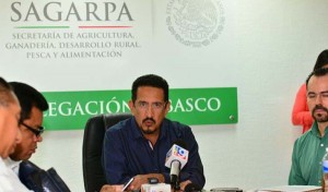 Recursos por 576 Millones de pesos para el sector agrícola en Tabasco: SAGARPA