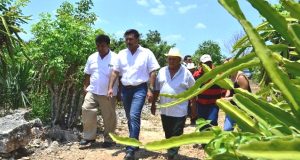 Exhortan a diversificar y aprovechar la riqueza de la tierra de Yucatán