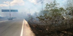 Reanudan quemas en Yucatán, con llamado a hacer uso responsable del fuego