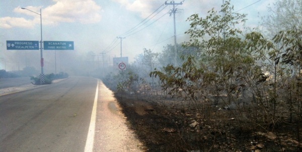 Carreteras comabte a incendios forestales