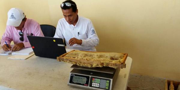 Concurso de miel en Campeche