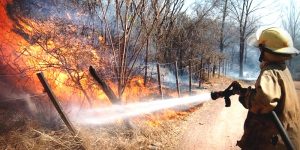 Controlan 18 incendios en décimo primera semana de la temporada en Yucatán