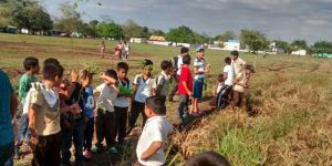 Inicia PVEM cruzada de reforestación con niños de Tabasco