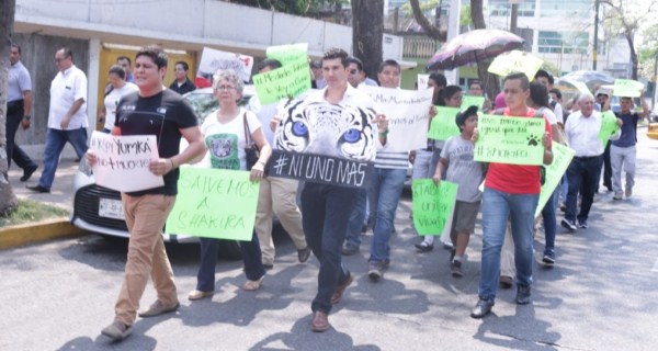 Pico madrazo en marcha por el Yumka