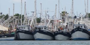 No hay fecha para cuando abrir a la pesca, sonda de Campeche: Capitanía del Puerto