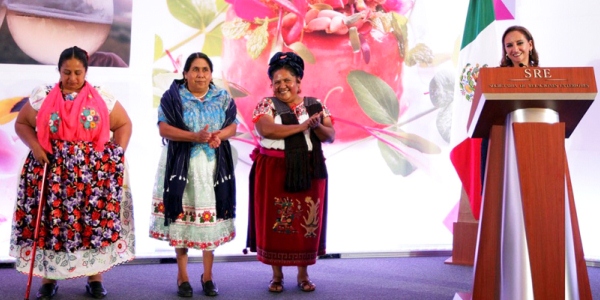 Centro de artes indigenas veracruz