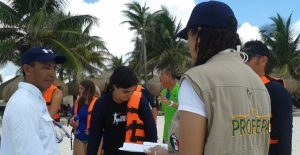 Clausura PROFEPA 20 agencias turísticas por promover nado con Tortugas sin autorización en Bahía Akumal