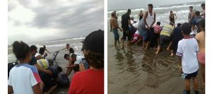 ​Atiende PROFEPA varamiento de cría de cachalote en costas de Coatzacoalcos Veracruz
