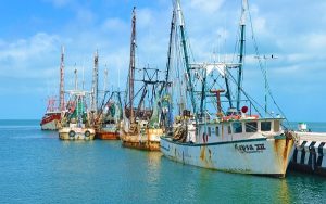 Listos Barcos camaroneros en Campeche para iniciar temporada de captura: CANAINPES