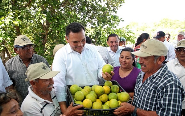 Produccion de citricos en Yucatan