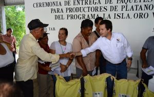 Entrega Centro apoyo a productores de plátano macho en 15 comunidades de La Isla