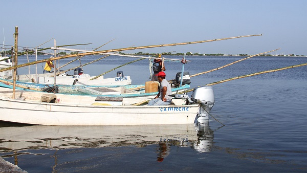 Campeche pescadores