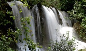 Cuatro zonas de extraordinaria importancia ecológica e histórica destacan en Ocosingo, Chiapas