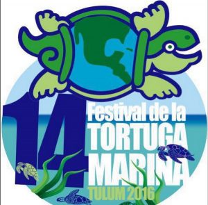 Todo listo para la celebración del 14º Festival de la Tortuga marina Tulum 2016