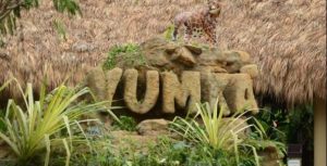 Emplaza PROFEPA a 58 Zoológicos, entre ellos Yumka para brindar trato digno a animales