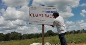 Clausura PROFEPA 2.6 hectáreas por cambio de uso de suelo son autorización en Yucatán