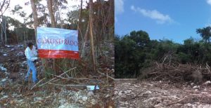 Clausura PROFEPA predio “Balamtun” por cambio de uso de suelo forestal en Solidaridad Quintana Roo