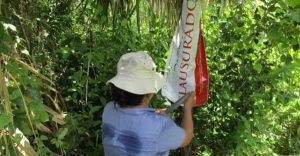 Clausura PROFEPA predios sin autorización para el cambio de uso de suelo en Ejido Calderitas Quintana Roo