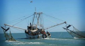 Apertura en Sonda de Campeche, es petición añeja de pescadores: Rafael Ruiz