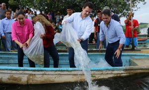 Regresa Gaudiano a Villa Luis Gil Pérez y libera 15 mil peces; van 310 mil crías en total