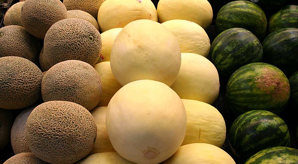 aumenta-exportaciones-de-melon-sandia-y-papaya