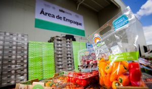 Registra México superávit agroalimentario superior a los dos mil millones de dólares en enero-agosto