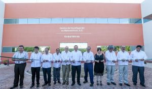Yucatán sigue colocándose como polo regional de ciencia e innovación