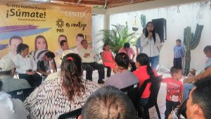 En unidad fortalecemos al nuevo PRD en Tabasco: Rosa Isela Hernández Pérez