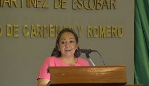 Congreso obligado a garantizar seguridad jurídica a niñas y adolescentes: Yolanda Rueda