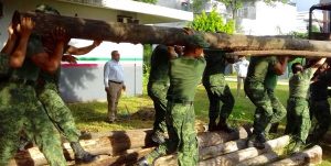 Entrega PROFEPA 6.5 M3 de madera en donación a la 30ª Zona Militar de la SEDENA en Tabasco