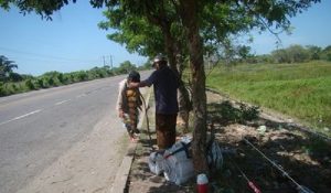 Combate PROFEPA comercio ilegal de quelonios en Tabasco: Sánchez Noverola