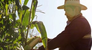 México Alimentaria 2016 Food Show: Agricultura, el campo a la vista